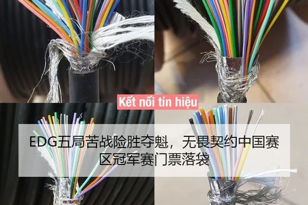 EDG五局苦战险胜夺魁，无畏契约中国赛区冠军赛门票落袋